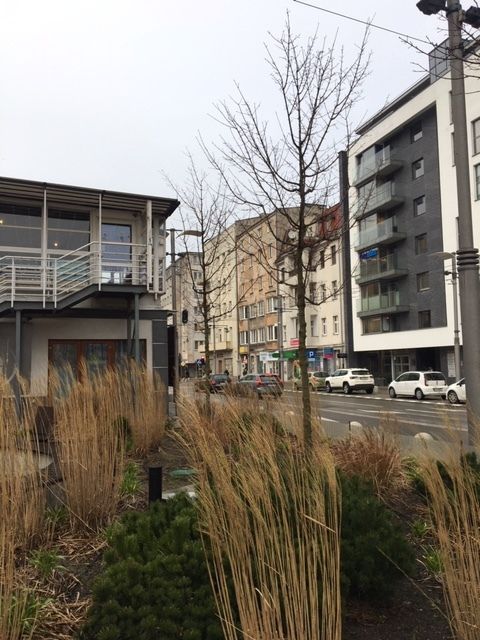 Nieruchomość komercyjna Gdynia Śródmieście, pl. Kaszubski. Zdjęcie 2