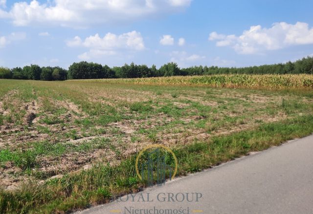 Działka rolna Rudno. Zdjęcie 1