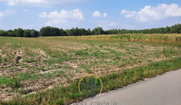 Działka rolna Rudno