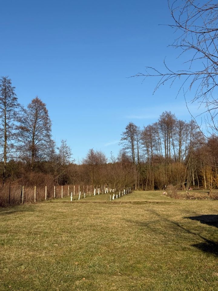 Działka rolno-budowlana Gaśno. Zdjęcie 6