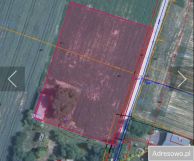 Działka budowlana Płoskie. Zdjęcie 2