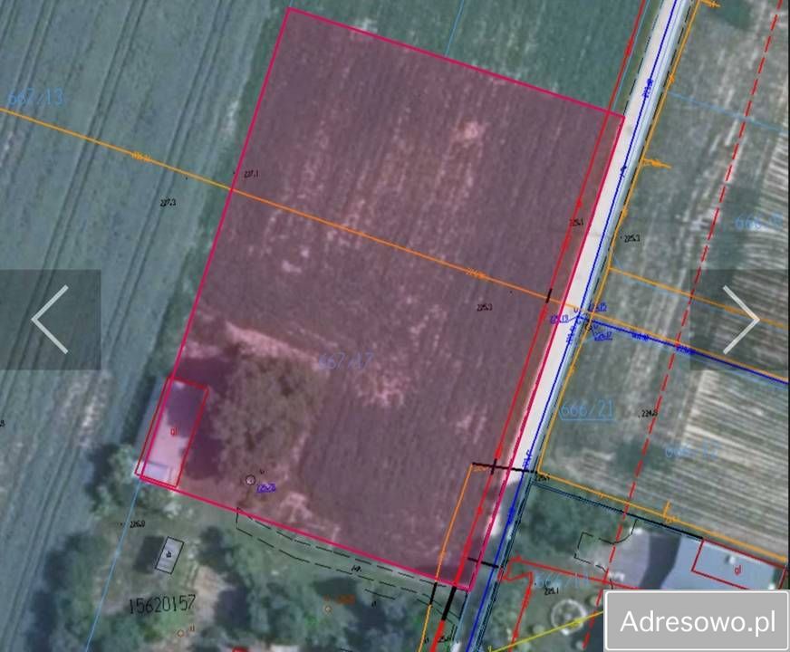 Działka budowlana Płoskie. Zdjęcie 3