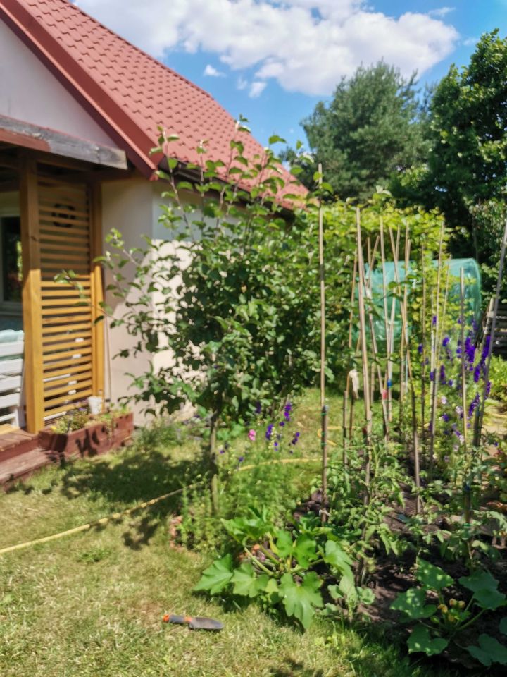 Działka rod Warszawa Targówek. Zdjęcie 6