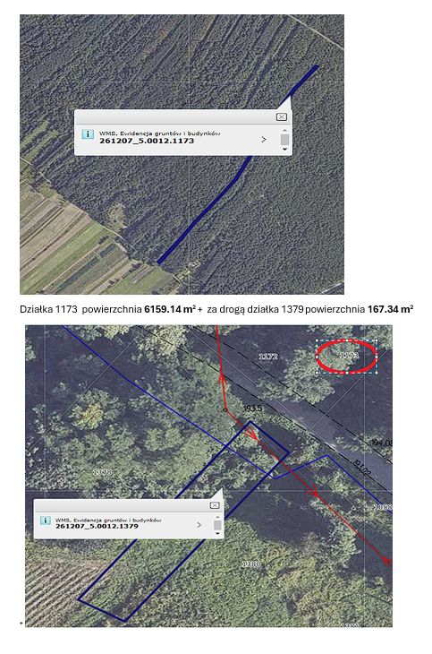 Działka leśna Kurozwęki. Zdjęcie 3
