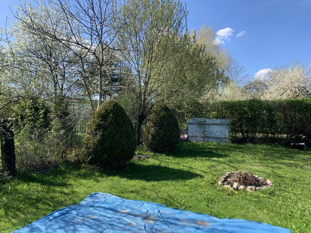 Działka rod Zabrze Biskupice. Zdjęcie 5