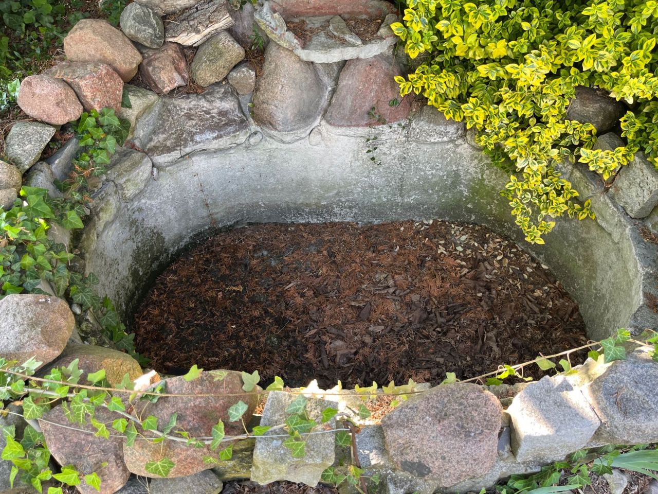 Działka rod Jaryszki. Zdjęcie 8