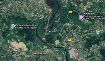 Działka budowlana Kurów