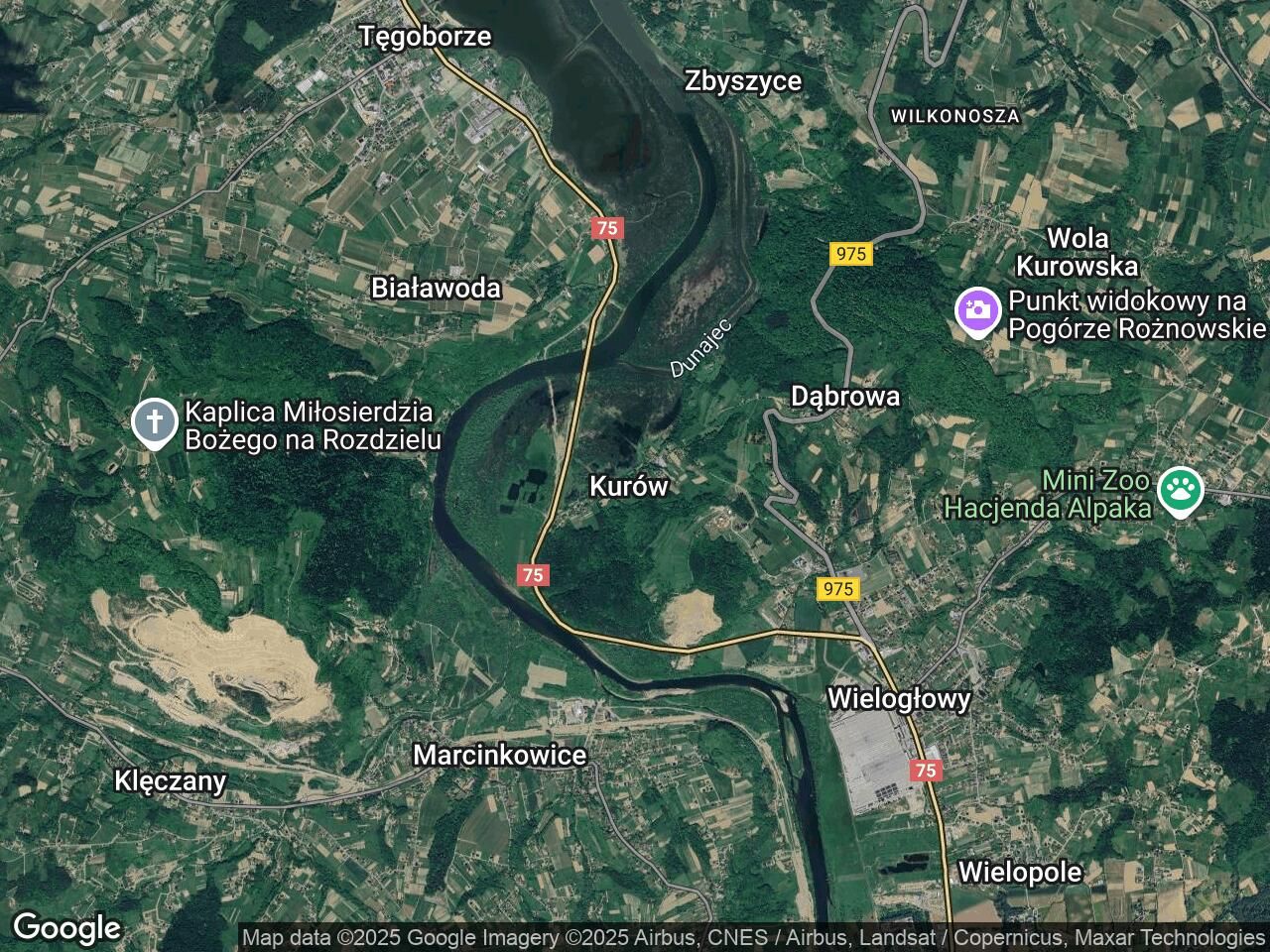 Działka budowlana Kurów