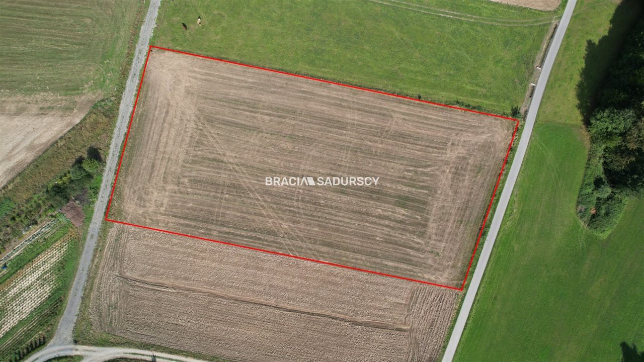 Działka rolno-budowlana Szyk. Zdjęcie 4