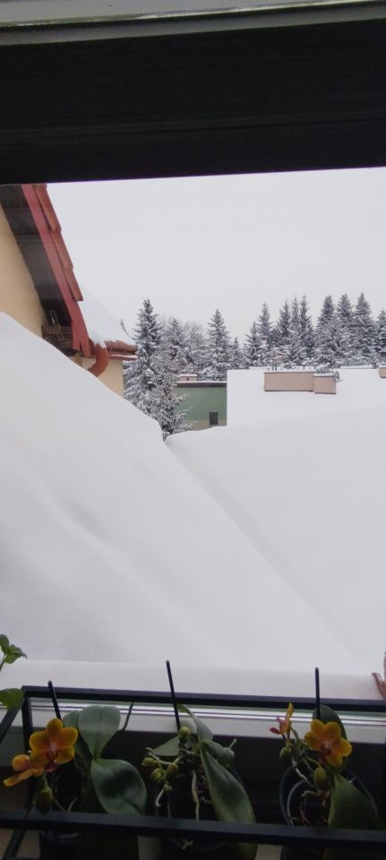 Mieszkanie 3-pokojowe Przemyśl, ul. Artura Malawskiego. Zdjęcie 26