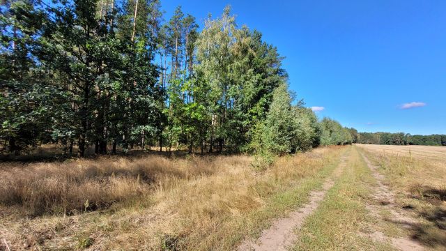 Działka siedliskowa Rupin. Zdjęcie 27