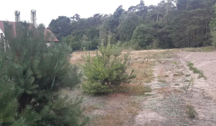 Działka budowlana Brzeźno