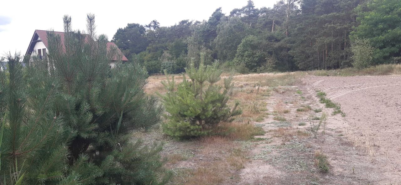 Działka budowlana Brzeźno. Zdjęcie 1