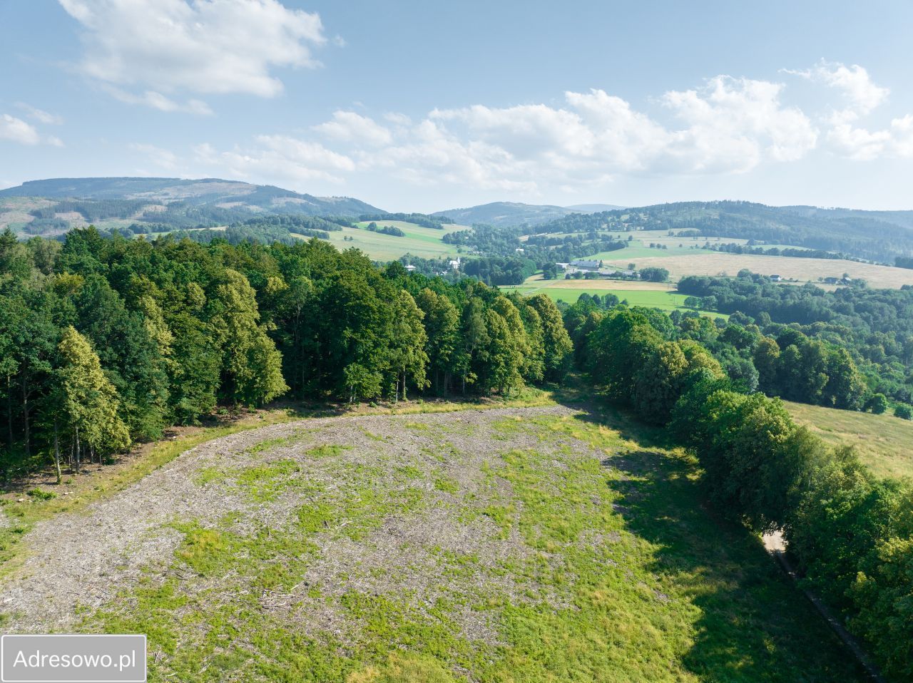 Działka budowlana Podlesie. Zdjęcie 14