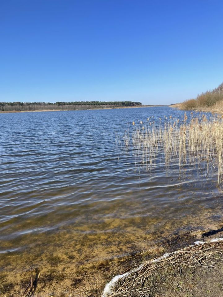 Działka rekreacyjna Kuźnica Żerechowska. Zdjęcie 5