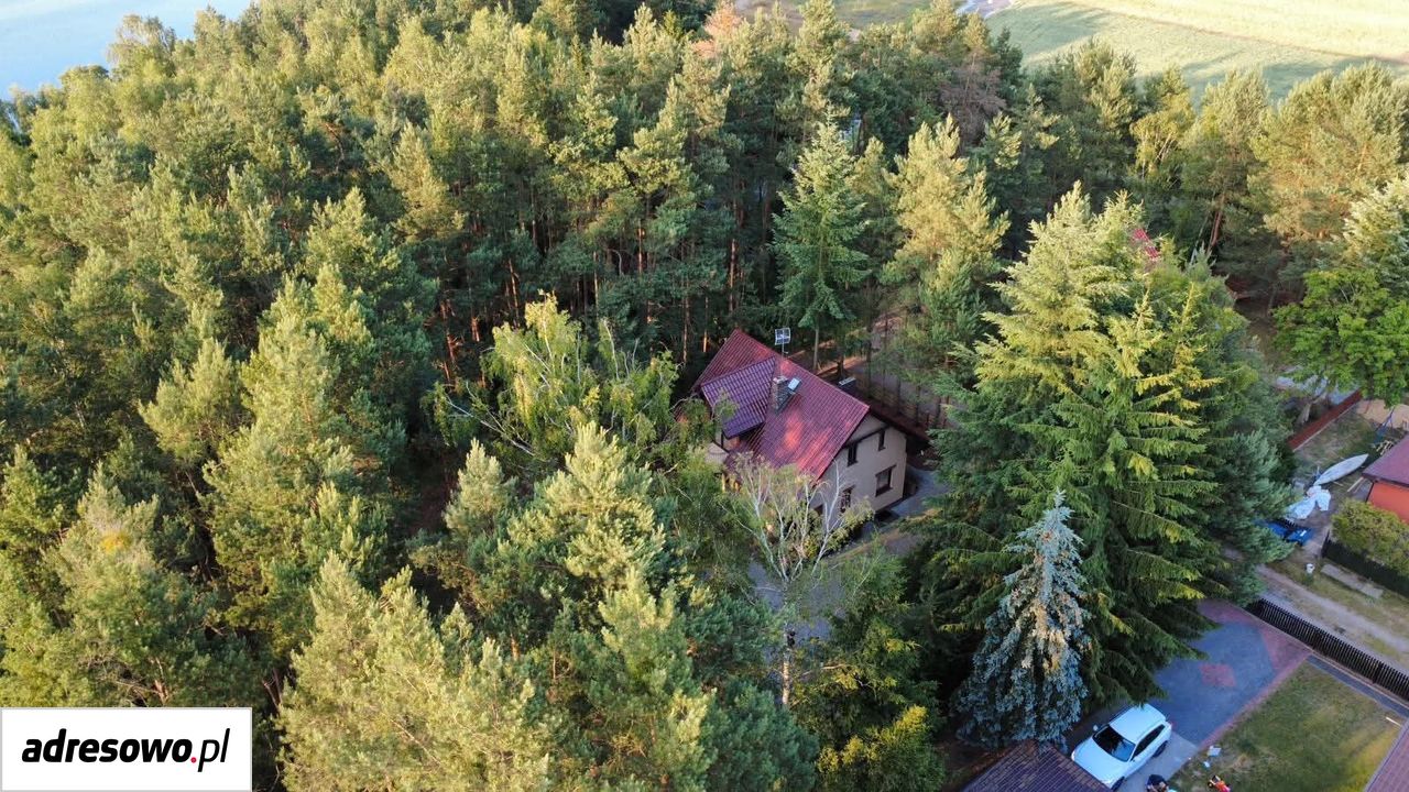 dom wolnostojący, 4 pokoje Laski Wielkie. Zdjęcie 4