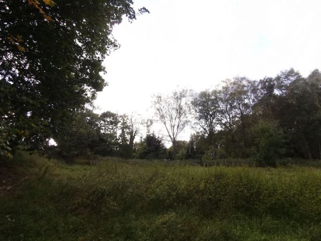 Działka inna Złotów, ul. ks. dr. Bolesława Domańskiego. Zdjęcie 10