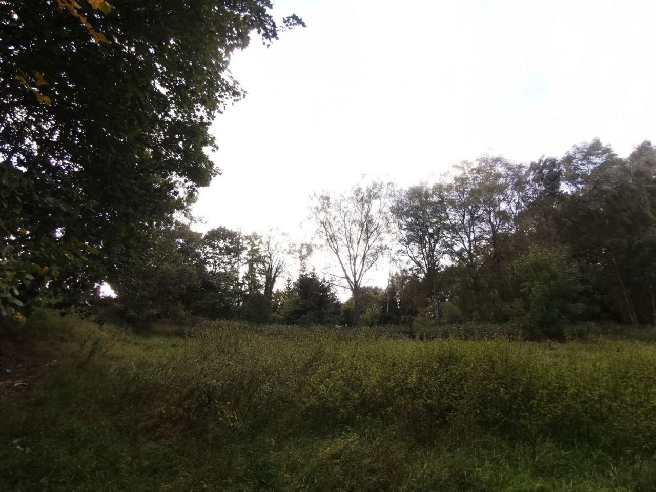 Działka inna Złotów, ul. ks. dr. Bolesława Domańskiego. Zdjęcie 10