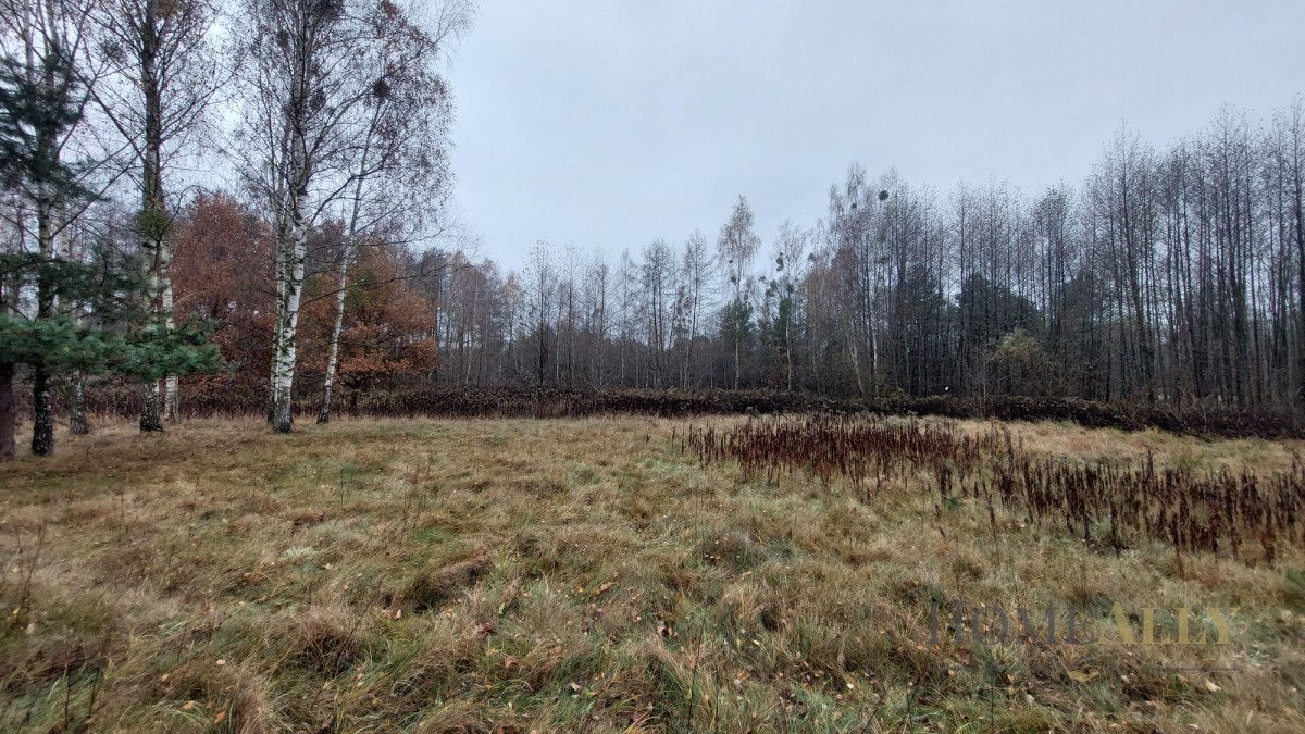 Działka rolna Teofile. Zdjęcie 4