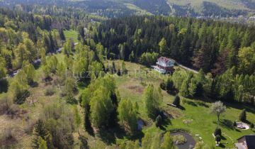 dom wolnostojący, 13 pokoi Borowice