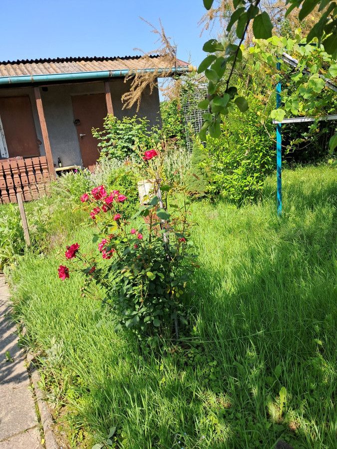 Działka rod Gliwice Ostropa, ul. Tokarska. Zdjęcie 5