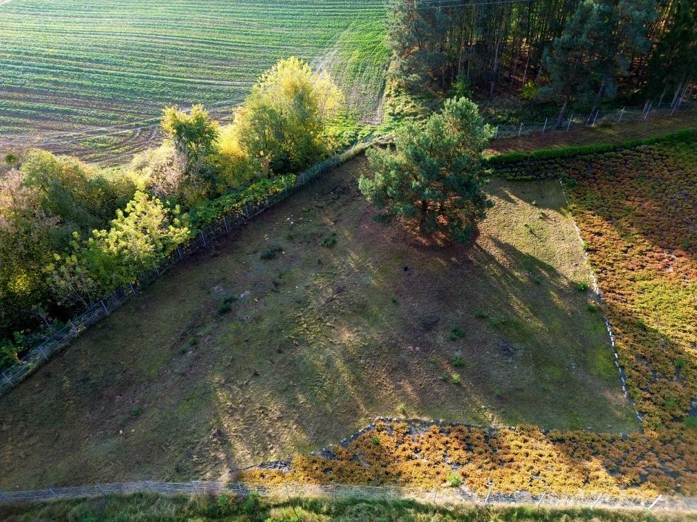 Działka rolna Węgiersk. Zdjęcie 4