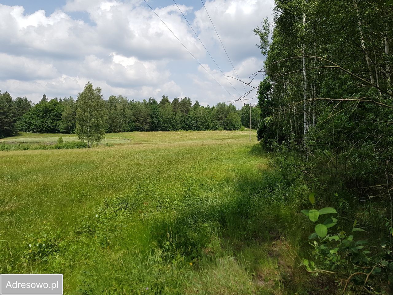 Działka budowlana Kontrewers. Zdjęcie 12