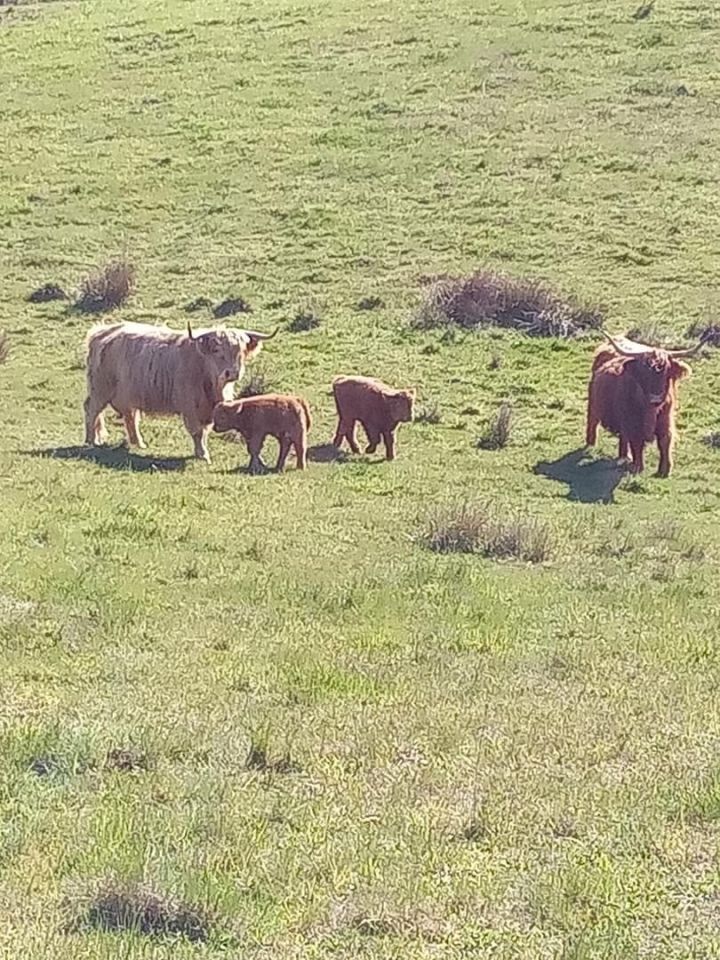 Działka rolna Donatowo. Zdjęcie 10