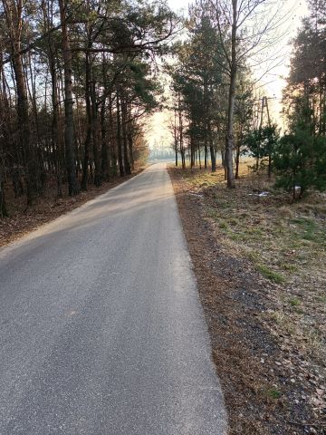 Działka budowlana Dziadkowice. Zdjęcie 1