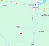 Działka leśna Miszewo Wielkie. Zdjęcie 1