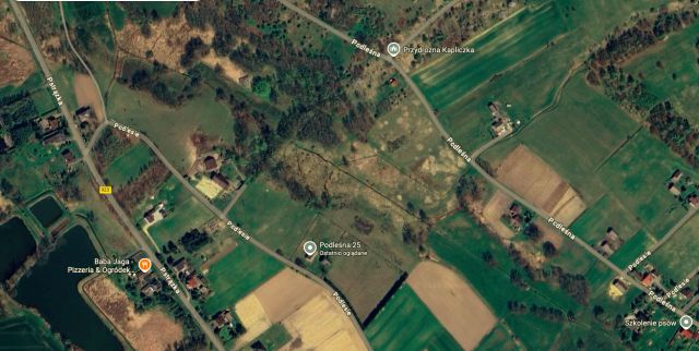 Działka rolno-budowlana Pstrążna Podlesie, ul. Podleśna. Zdjęcie 2