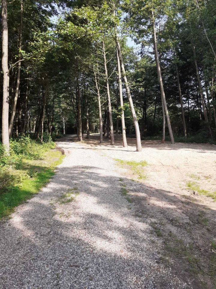 Działka inwestycyjna Sielsko. Zdjęcie 5