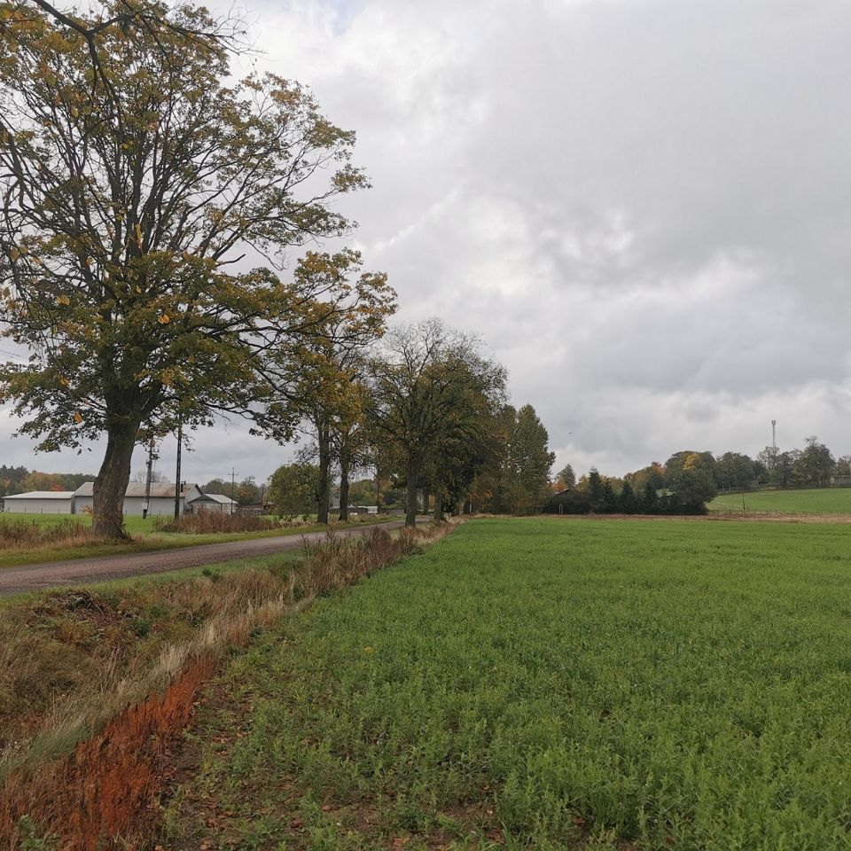 Działka budowlana Łąkie. Zdjęcie 19