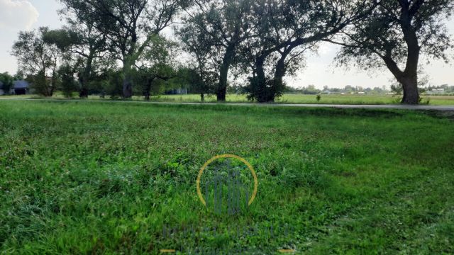 Działka rolna Rudno. Zdjęcie 4