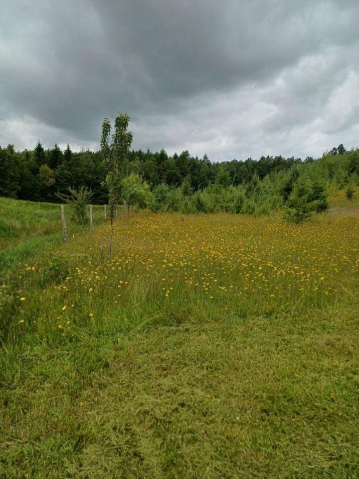 Działka budowlana Nowa Wieś Przywidzka, ul. Zielona. Zdjęcie 13