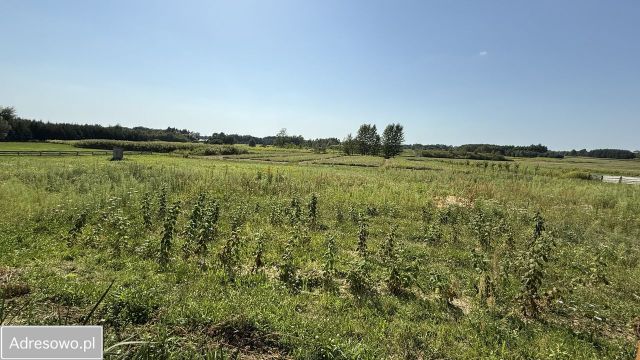 Działka rolna Kamień, ul. Krakowska. Zdjęcie 1