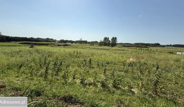 Działka rolna Kamień, ul. Krakowska