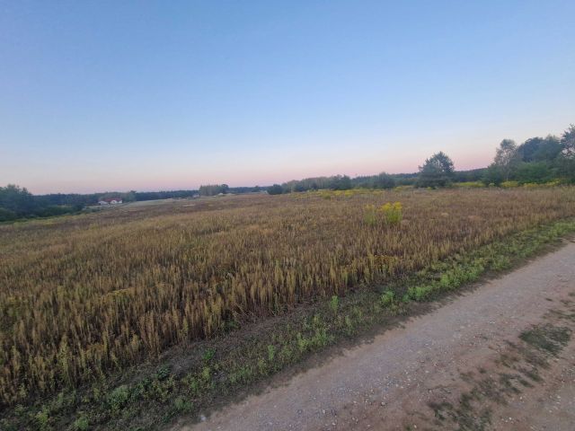 Działka rolna Chudolipie. Zdjęcie 1