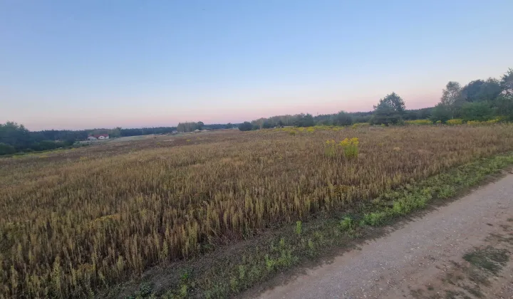 Działka rolna Chudolipie