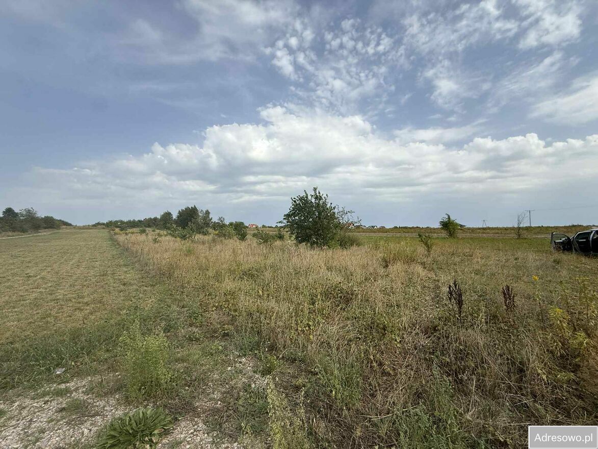 Działka rolno-budowlana Tokarnia. Zdjęcie 2