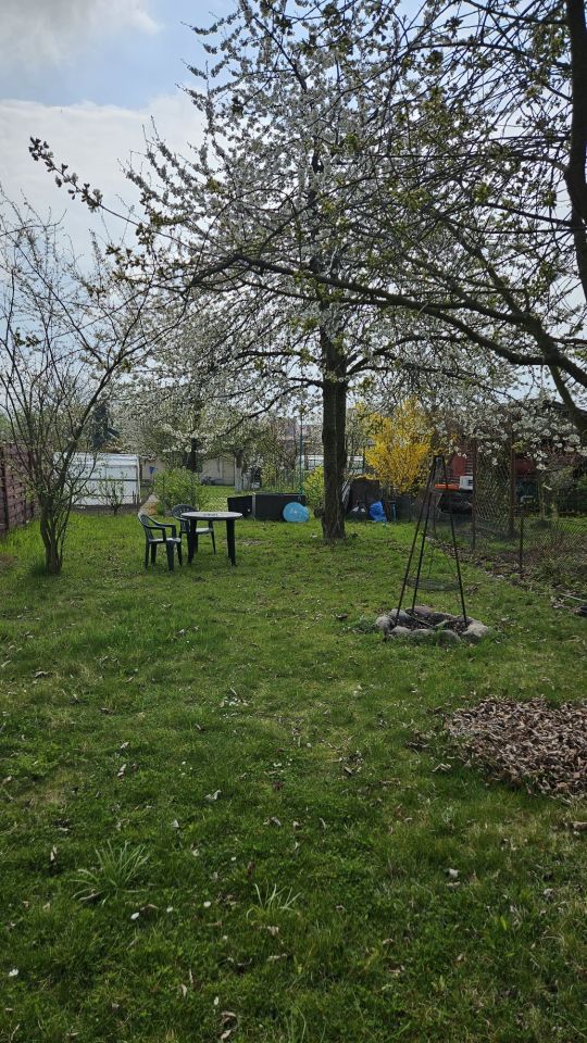 Działka rod Brzeg. Zdjęcie 2