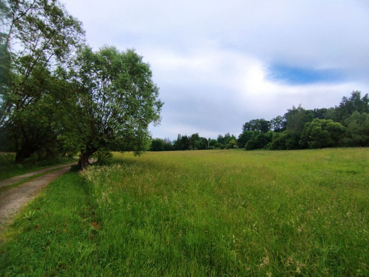 Działka rolno-budowlana Graboszyce. Zdjęcie 5