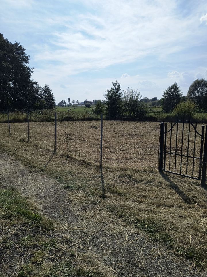 Działka rekreacyjna Leśniewo. Zdjęcie 8