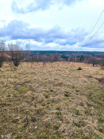 Działka budowlana Mniów. Zdjęcie 6