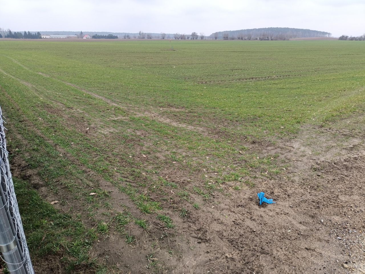 Działka budowlana Głębocko. Zdjęcie 3