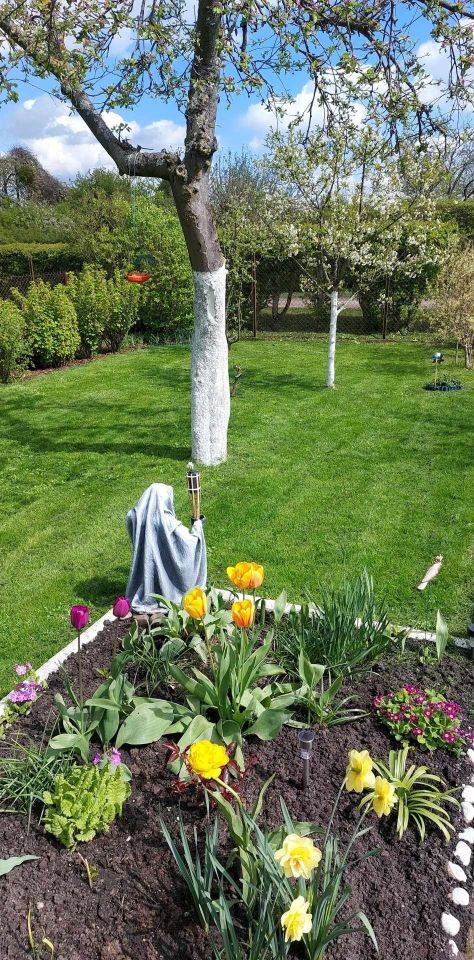 Działka rod Giżycko. Zdjęcie 5