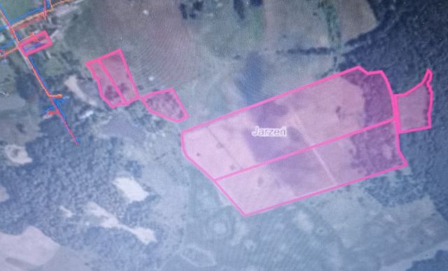 Działka rolna Jarzeń. Zdjęcie 1