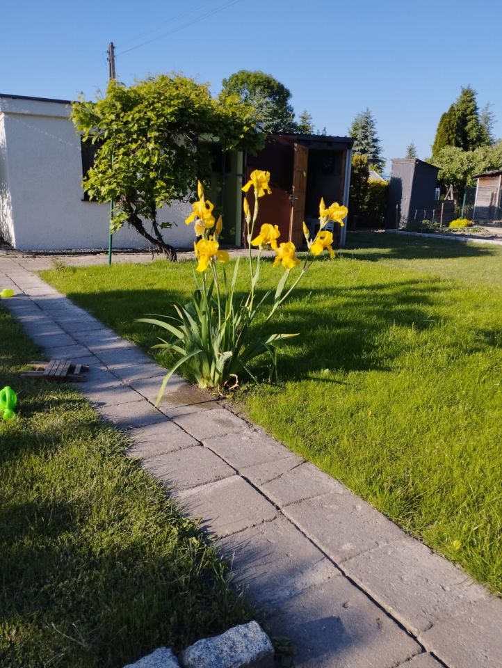 Działka rekreacyjna Nowe Skalmierzyce. Zdjęcie 6