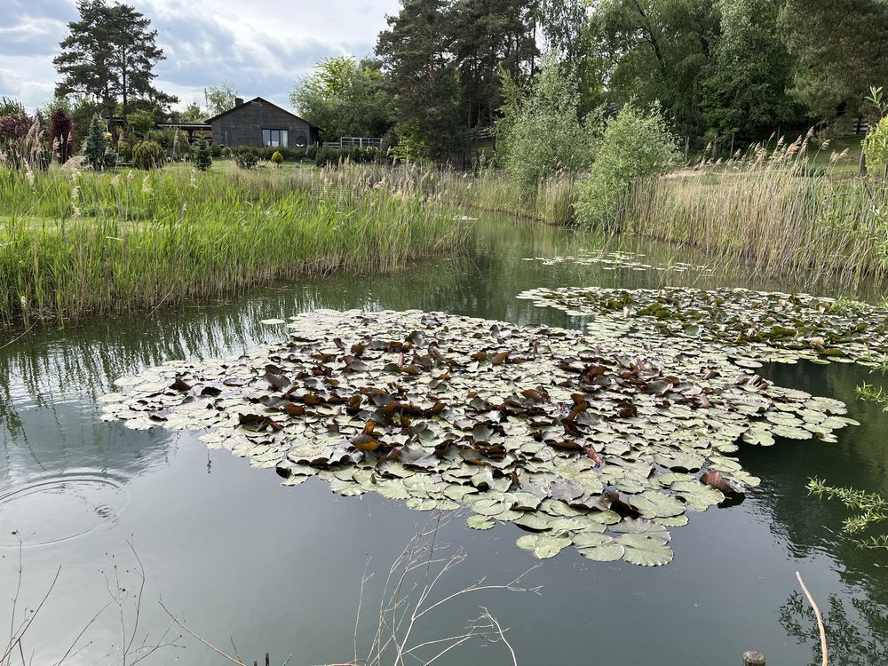 Działka budowlana Dymaczewo Stare. Zdjęcie 6