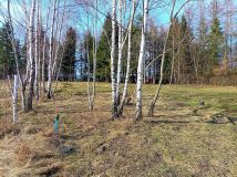 Działka budowlana Pomlewo, ul. Jodłowa. Zdjęcie 3